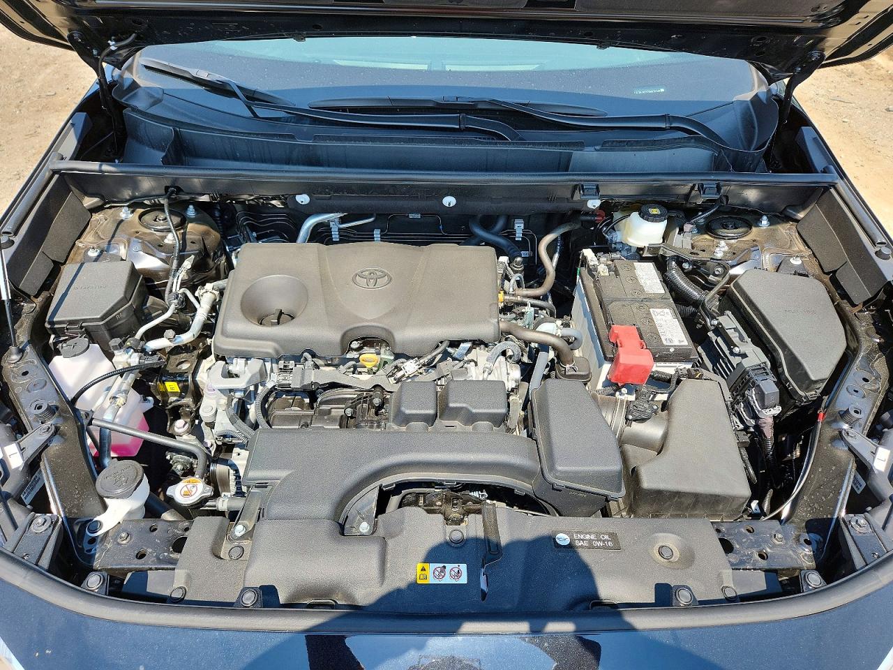Toyota RAV4 XLE PREMIUM 2025