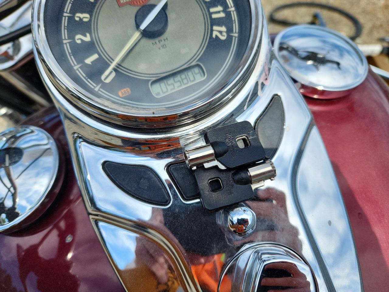 Harley-Davidson FLSTC 2015