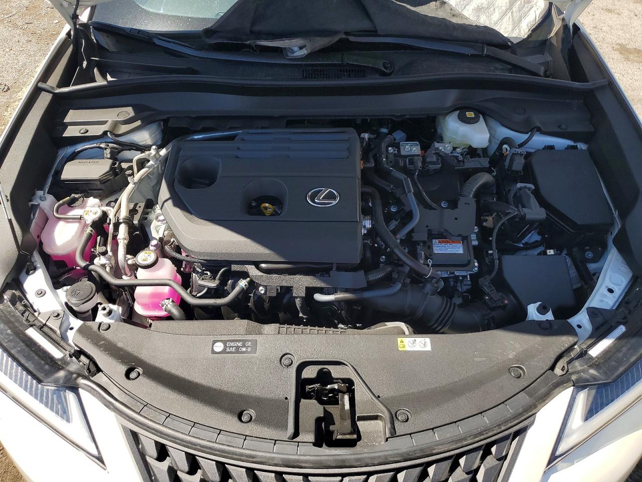 Lexus UX 300H PREMIUM 2025