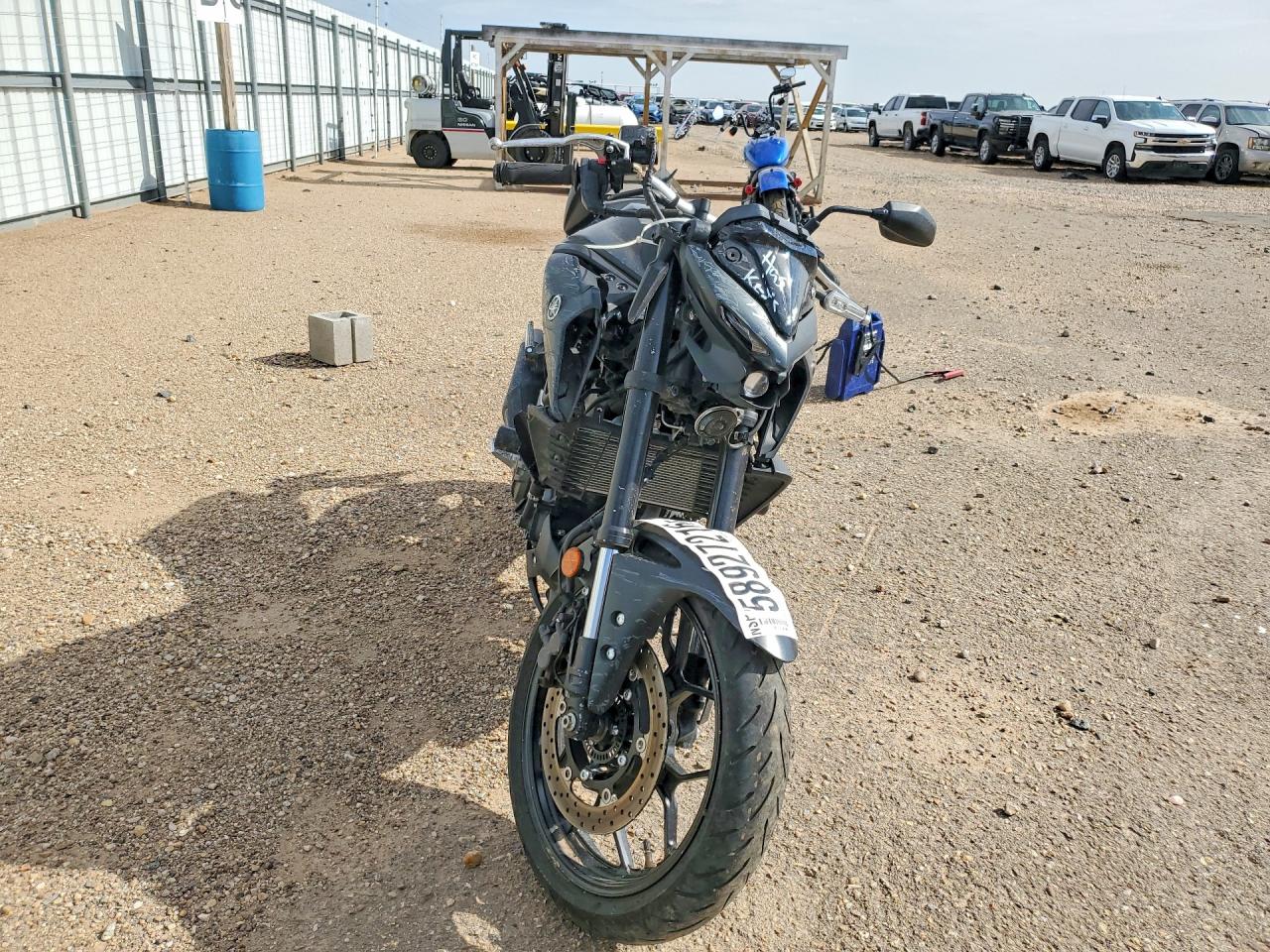 Yamaha MT-03 2023