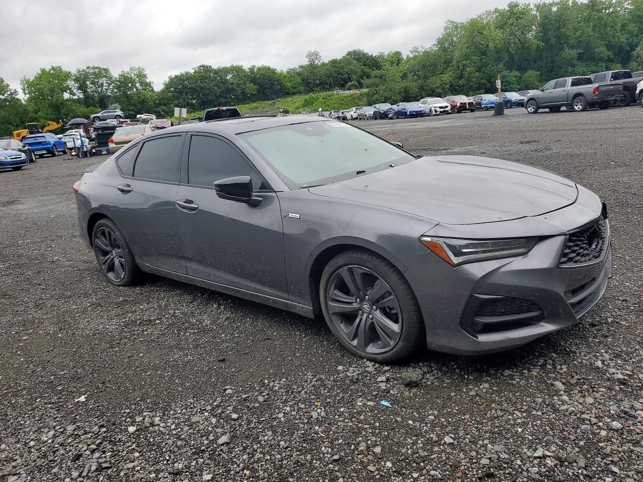  TLX