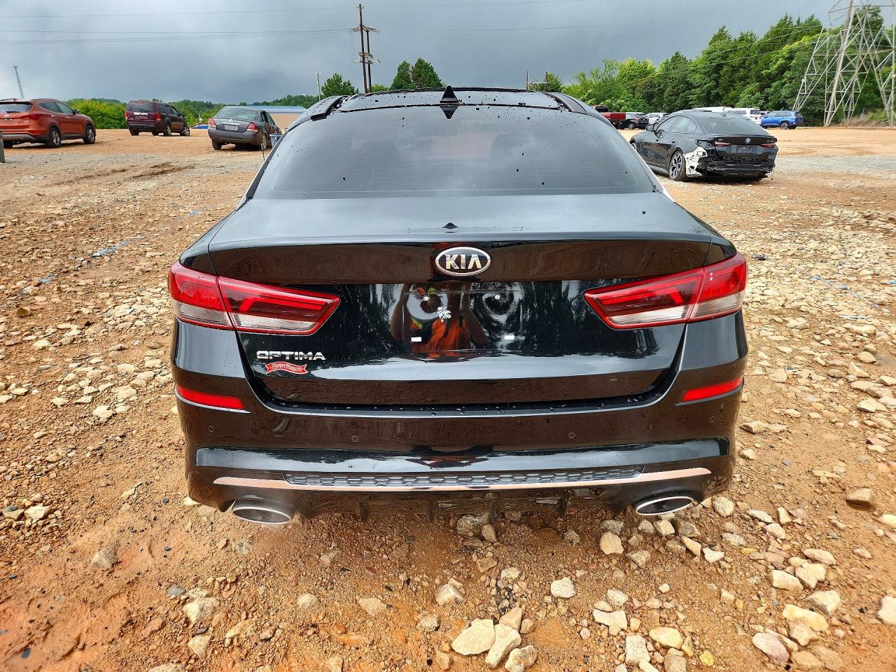  Optima