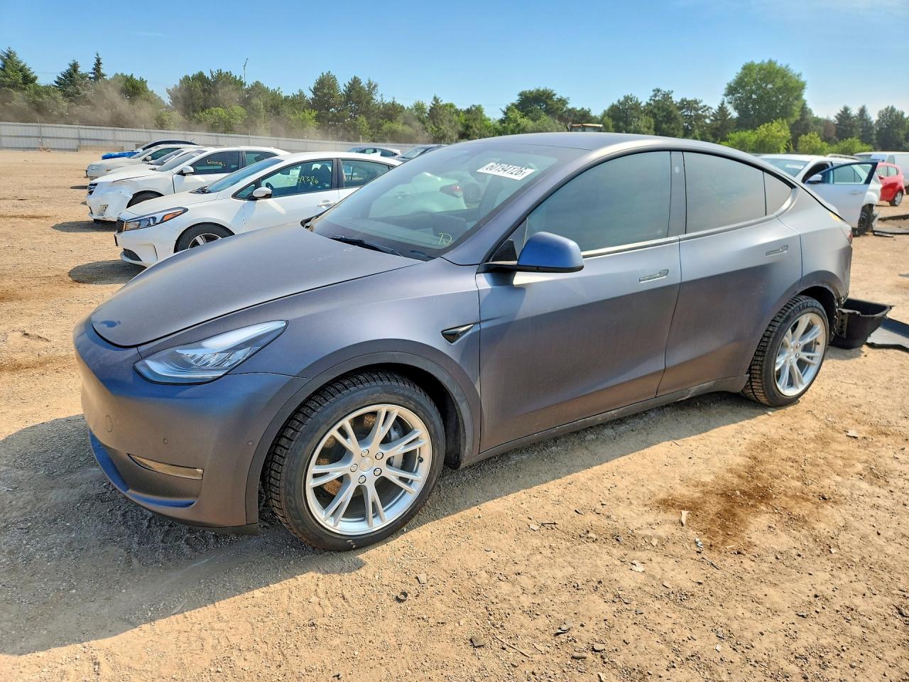  Model Y