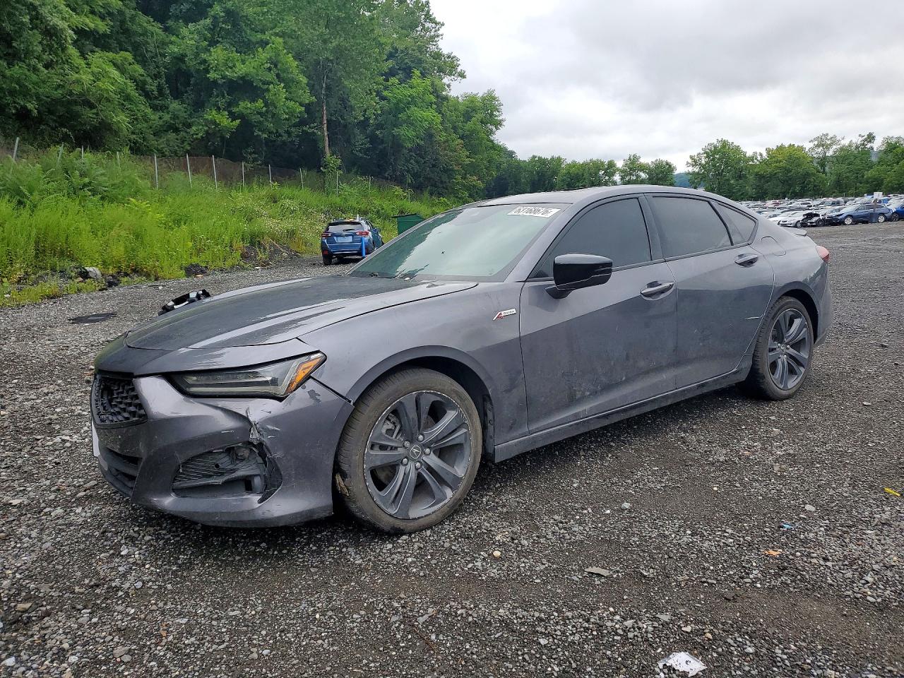 TLX