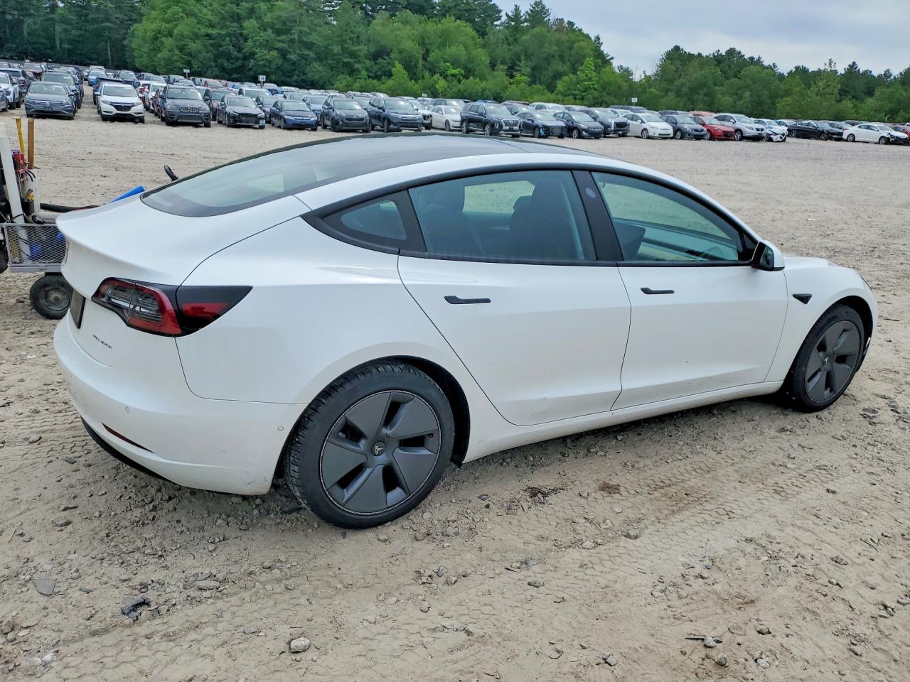 Tesla Model 3 2022