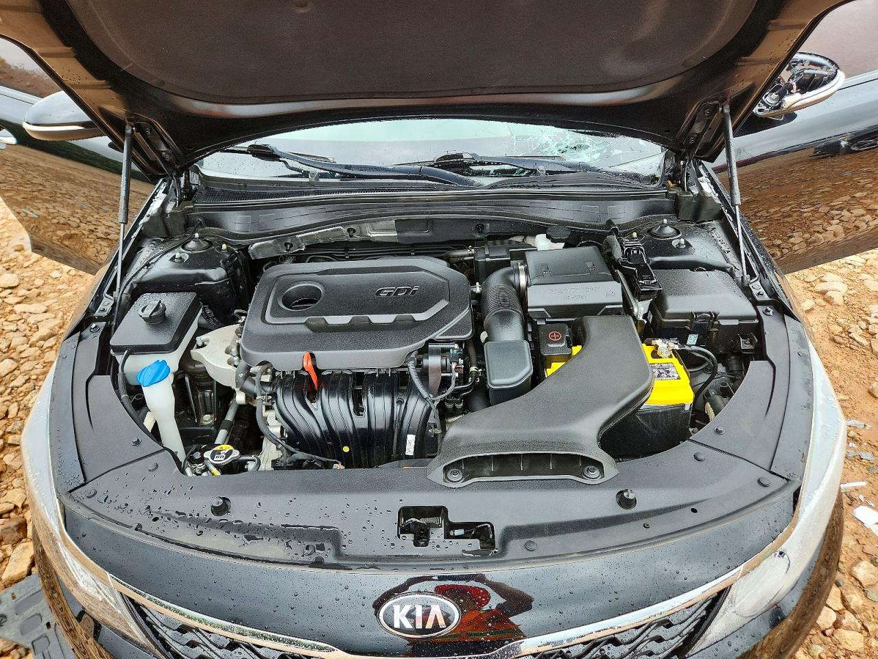  Optima