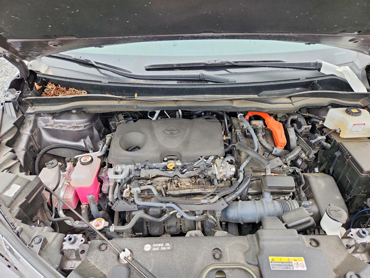 Toyota Sienna XLE 2022