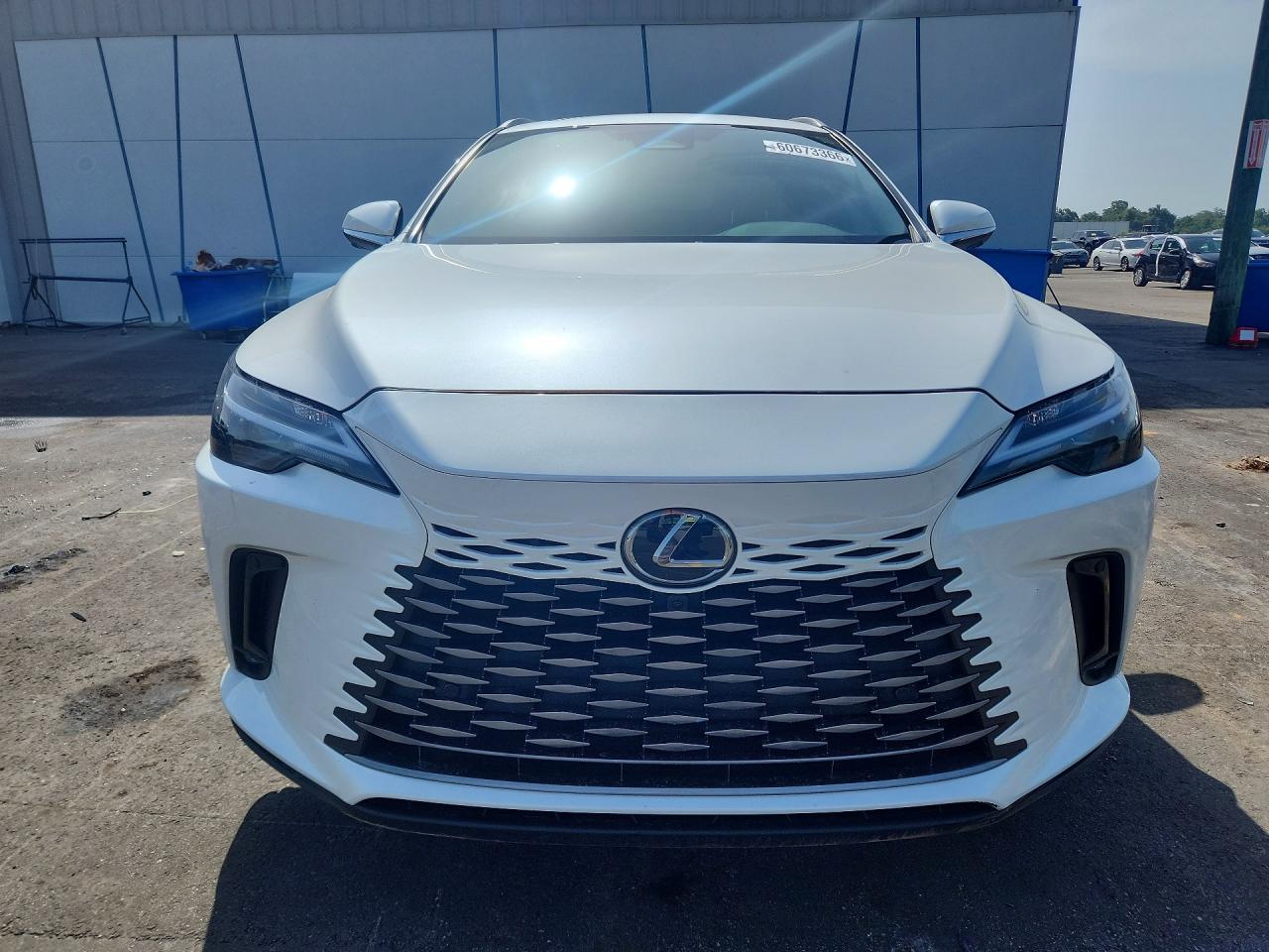  RX