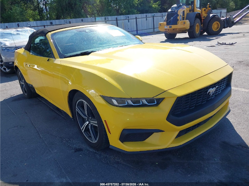  Mustang