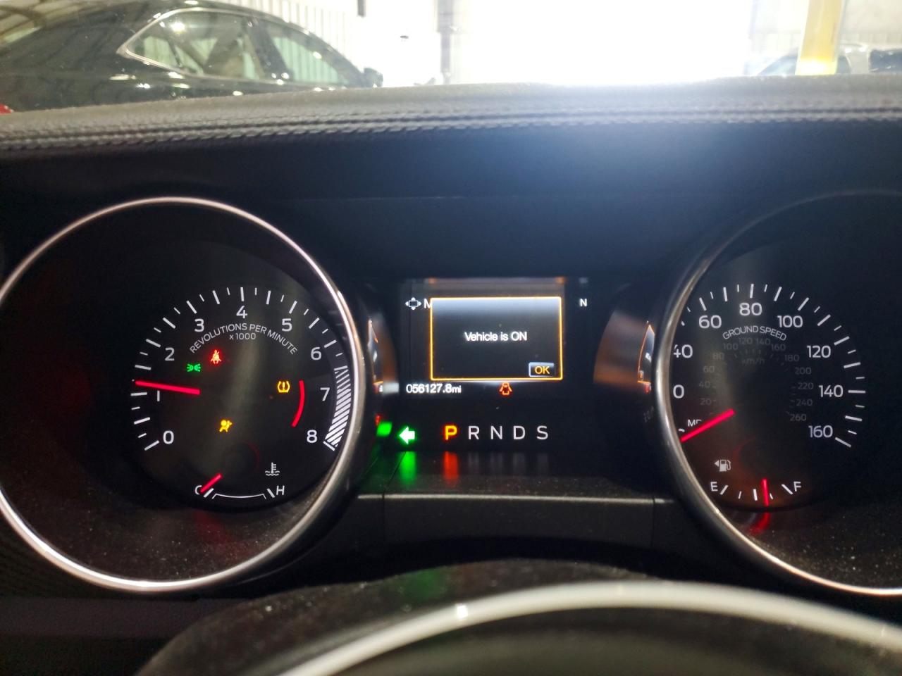  Mustang