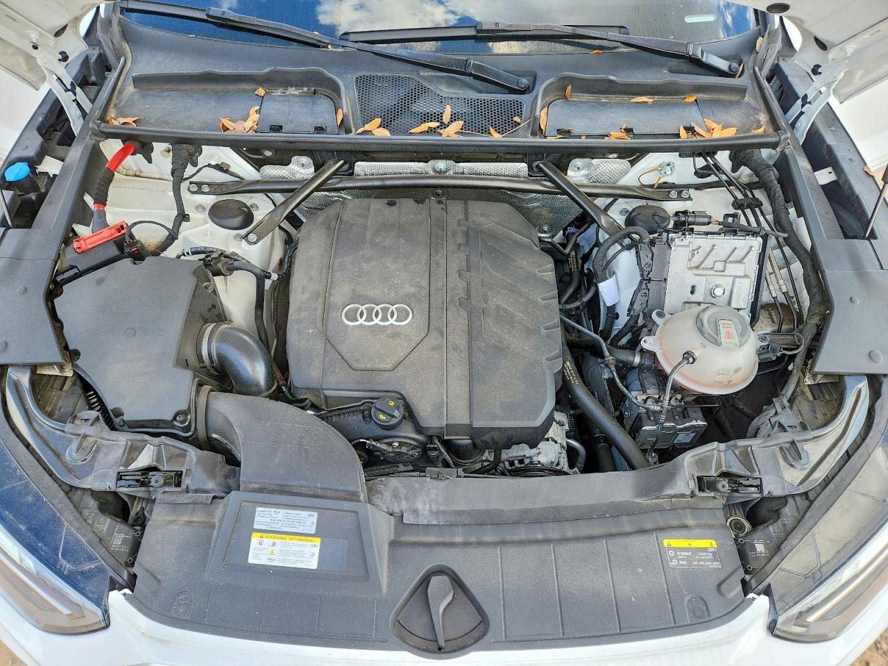 Audi Q5 PREMIUM PLUS 45 2022