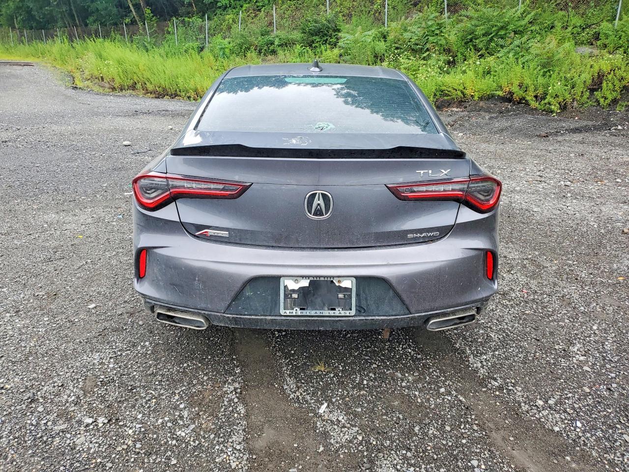  TLX