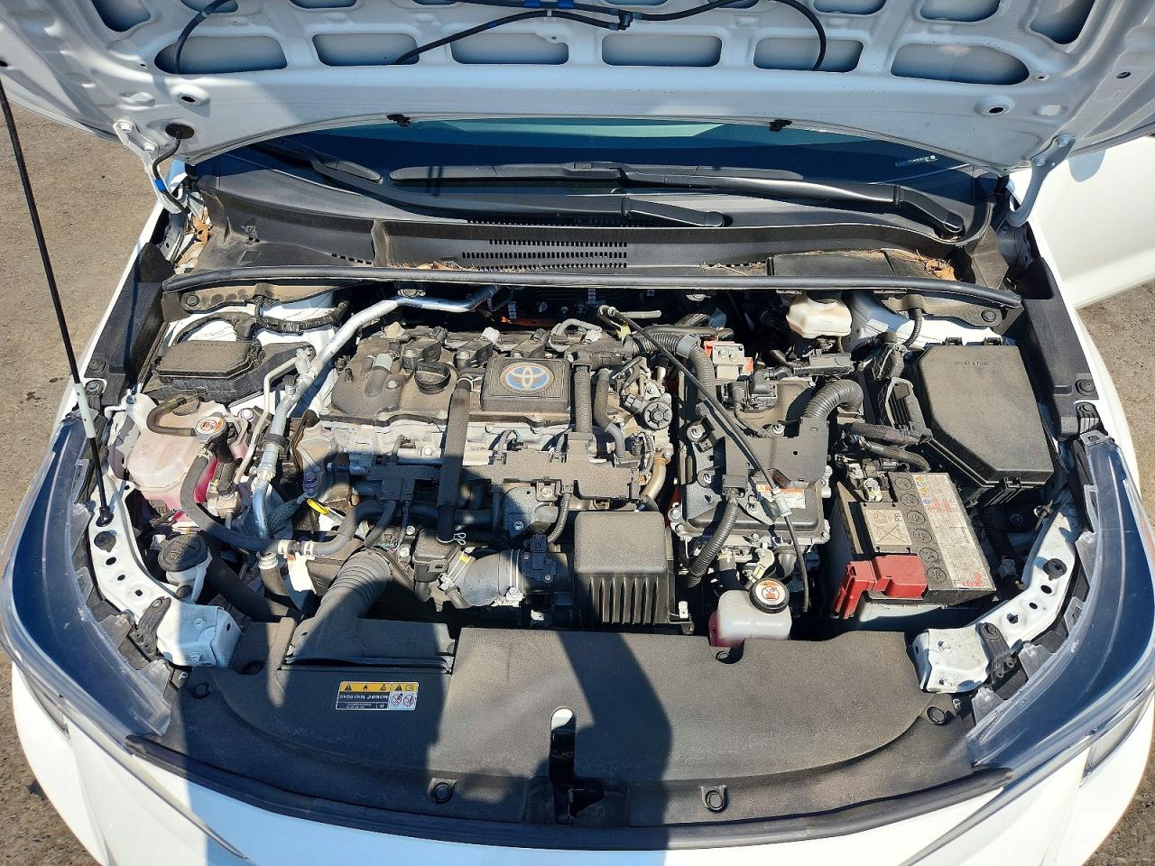 Toyota Corolla LE 2024