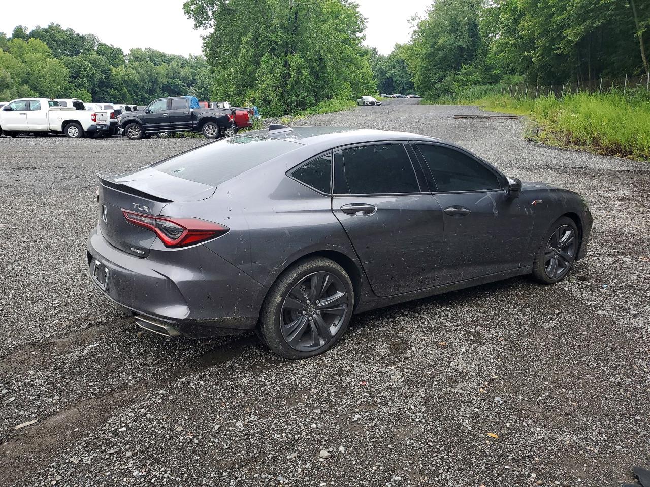  TLX