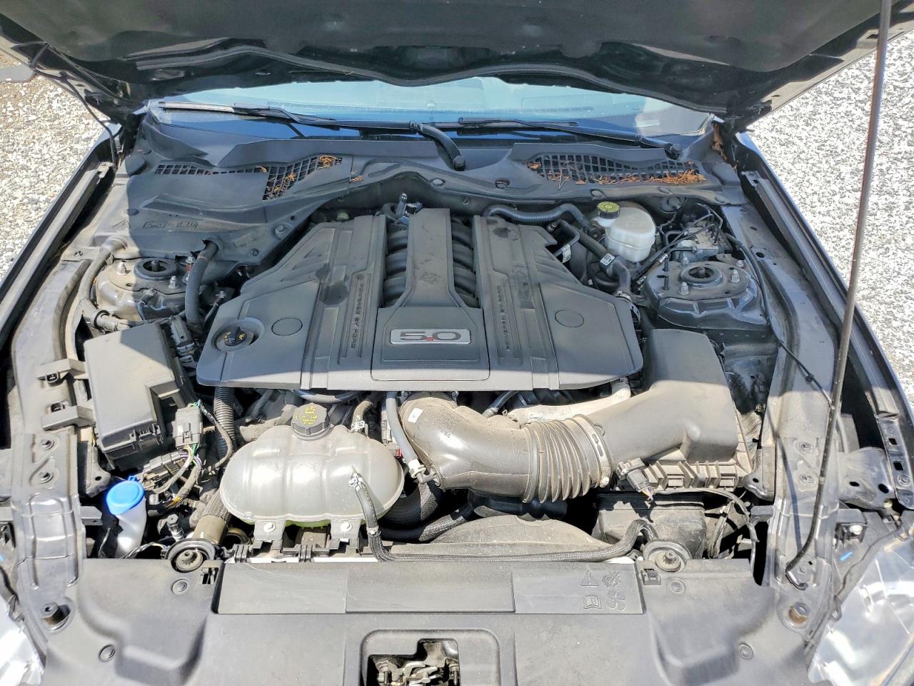Ford Mustang GT 2023