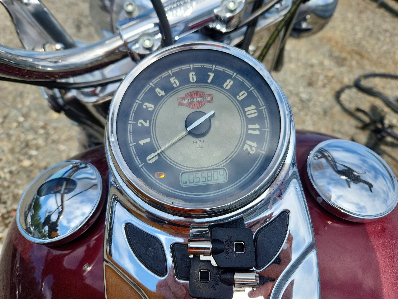 Harley-Davidson FLSTC 2015