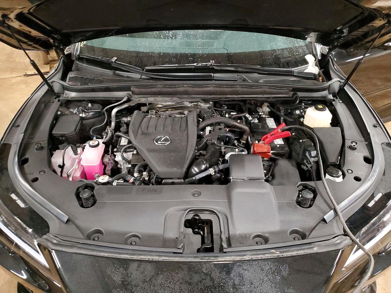 Lexus RX 350 PREMIUM 2025