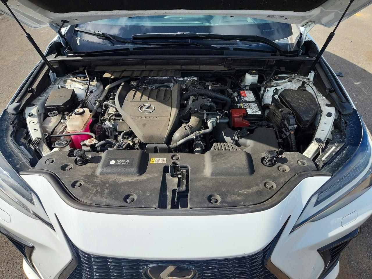 Lexus NX 2022