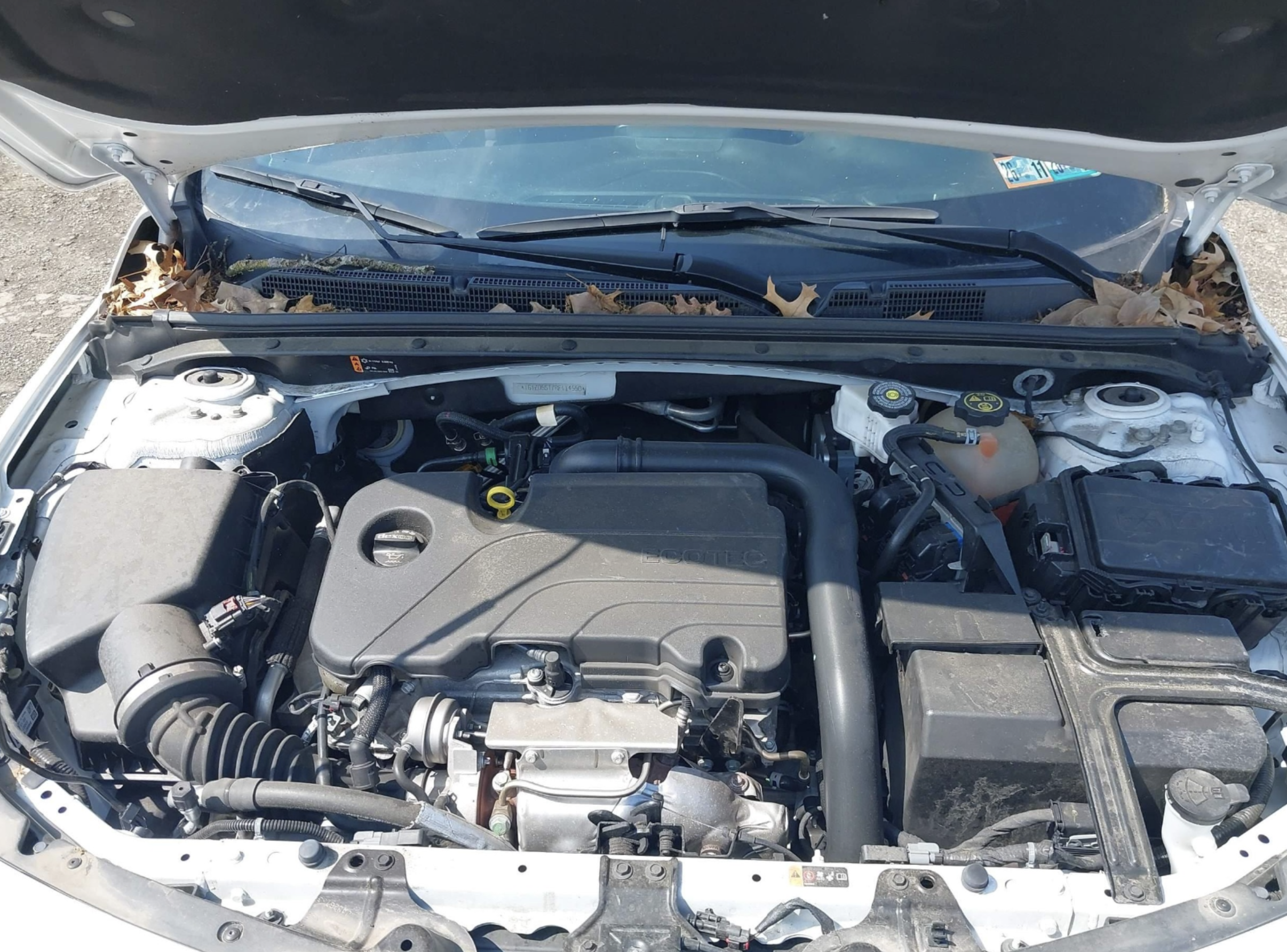 Chevrolet Malibu 1LT 2022