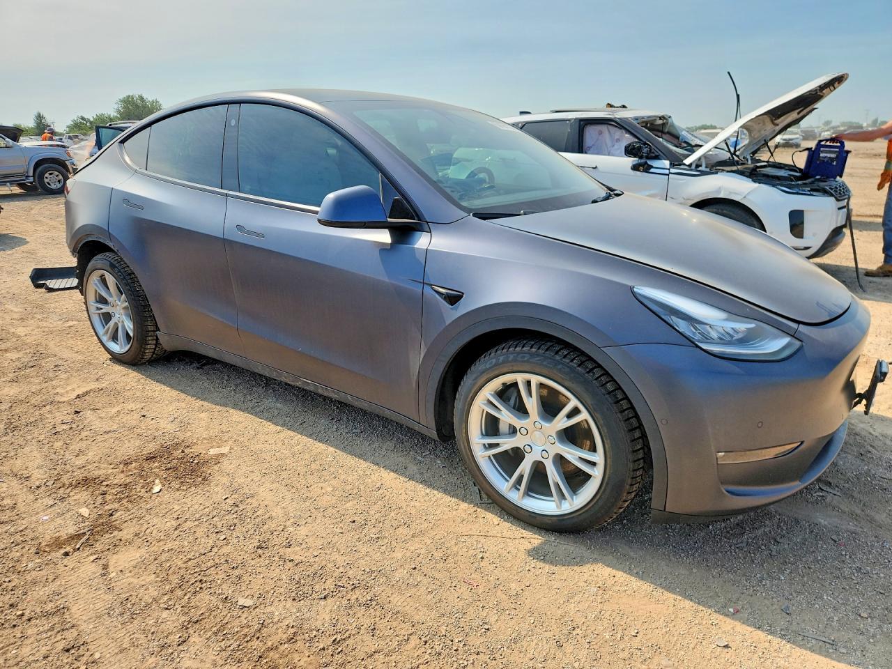  Model Y