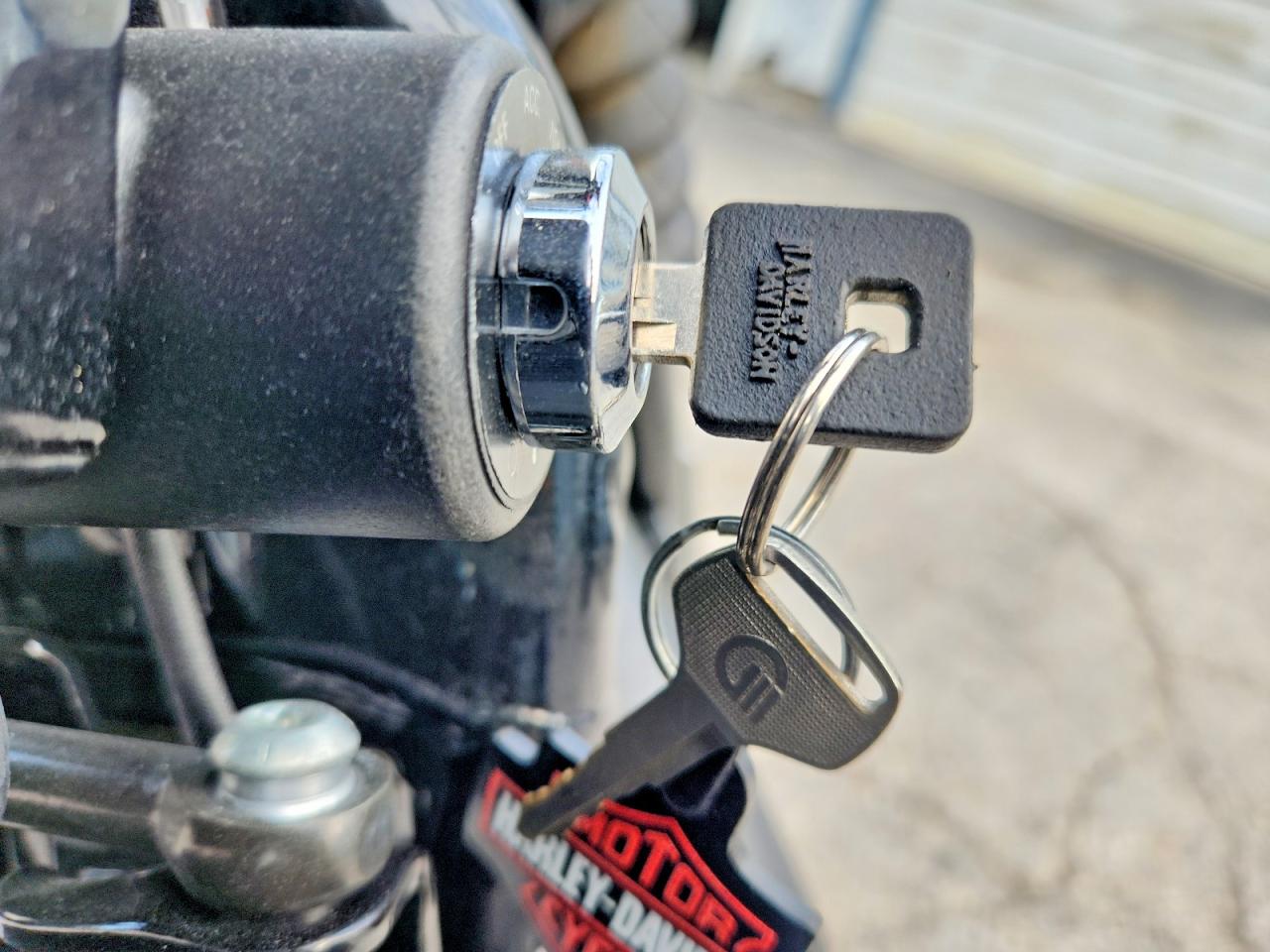 Harley-Davidson XL883 N 2020