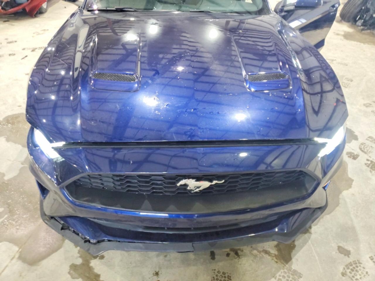  Mustang