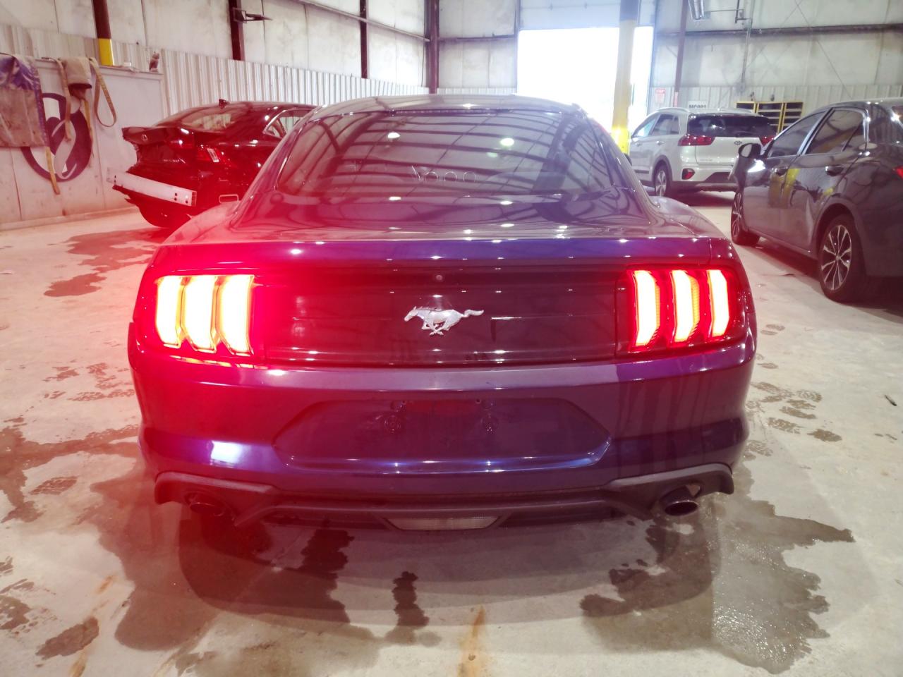 Mustang