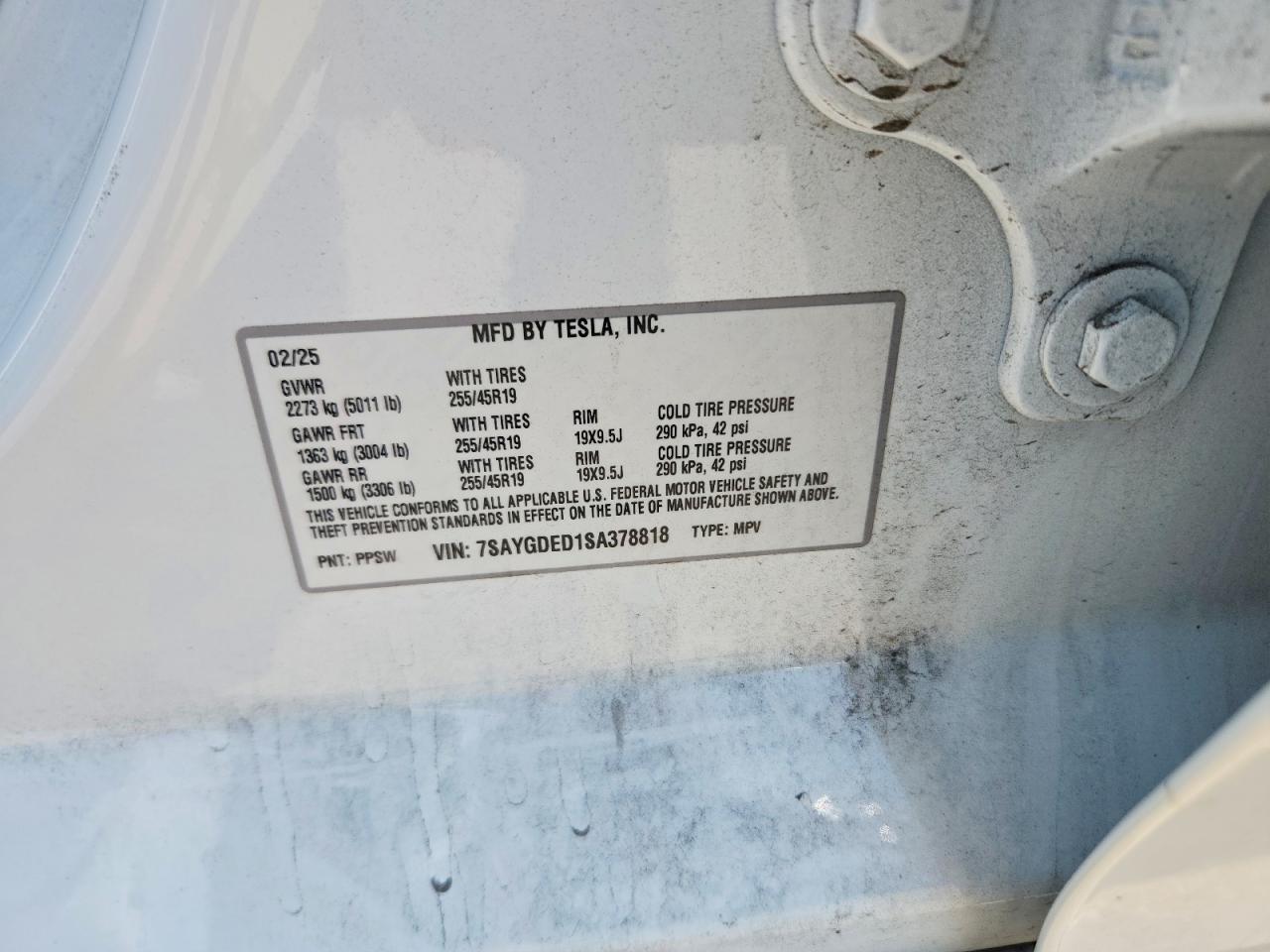 Tesla Model Y 2025
