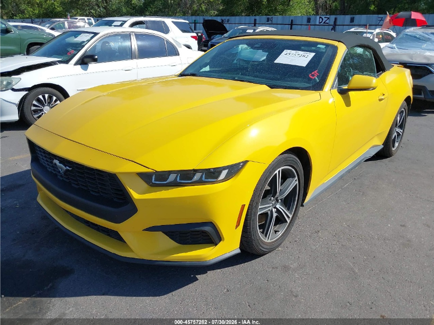  Mustang