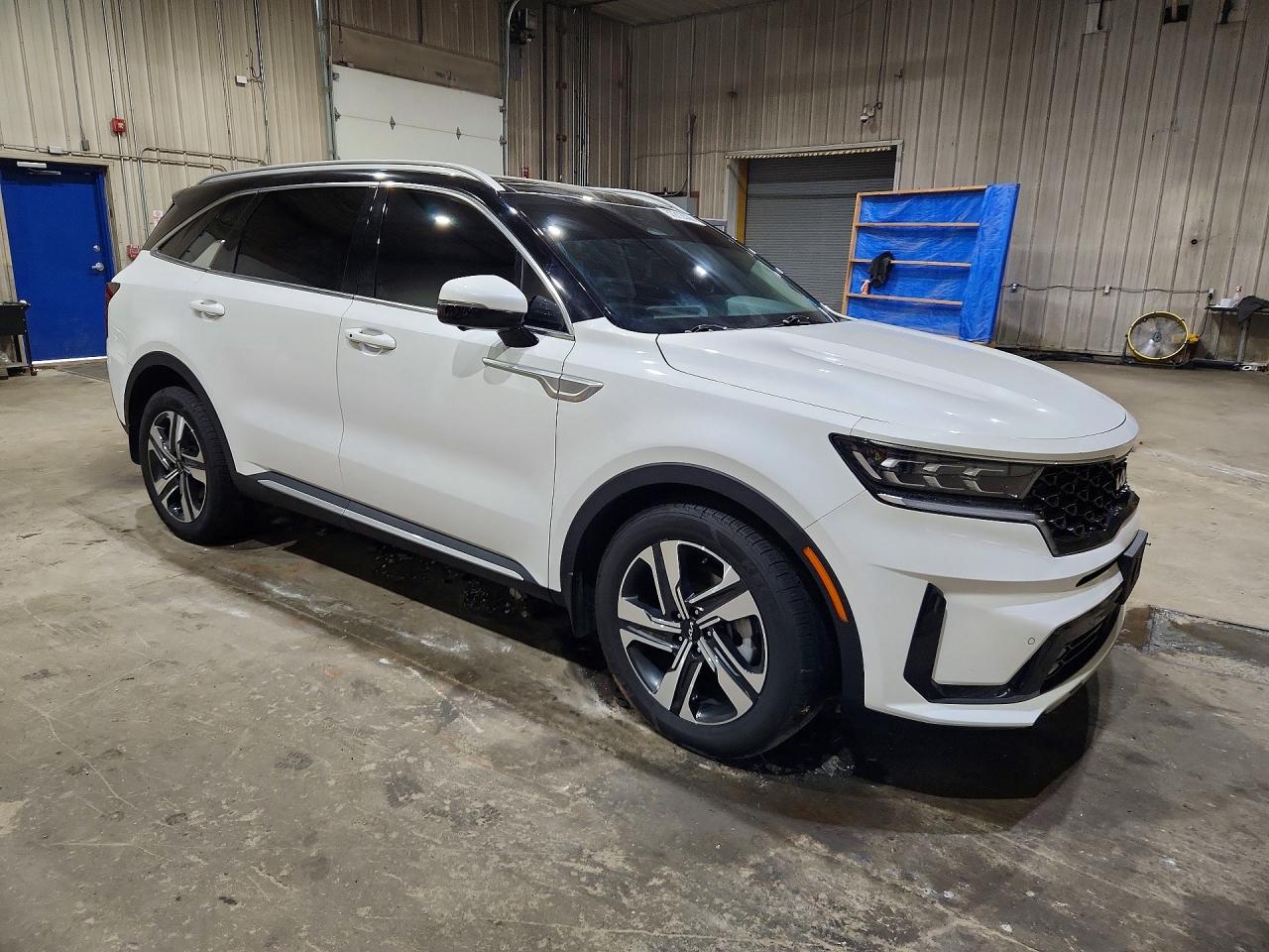  Sorento