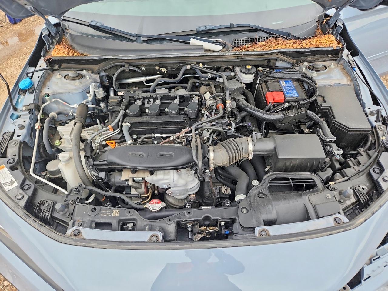  Civic