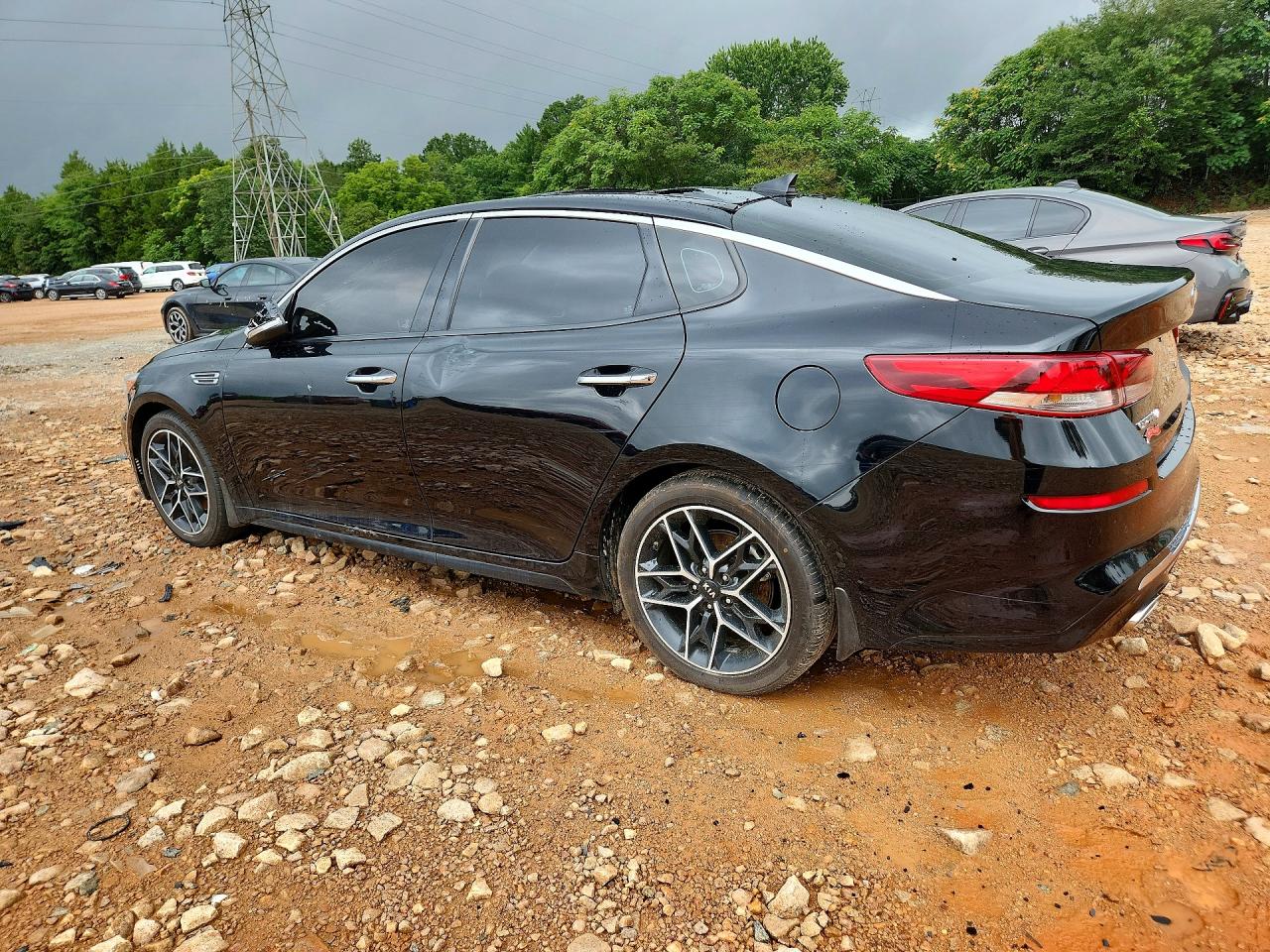 Optima