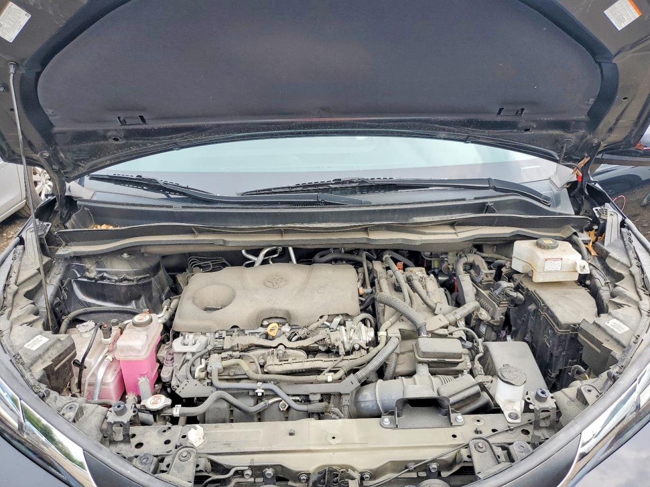 Toyota Sienna XLE 2022