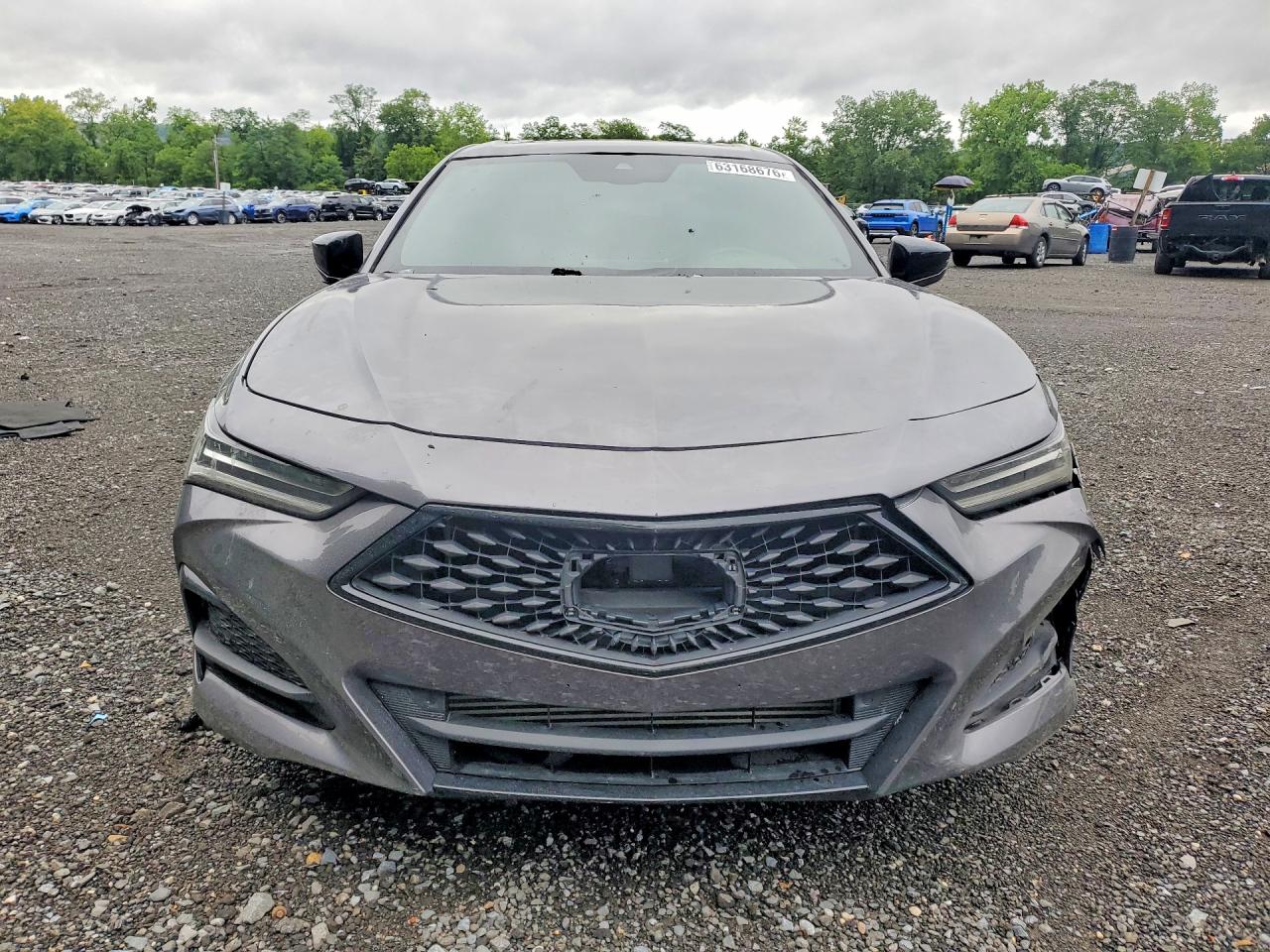  TLX