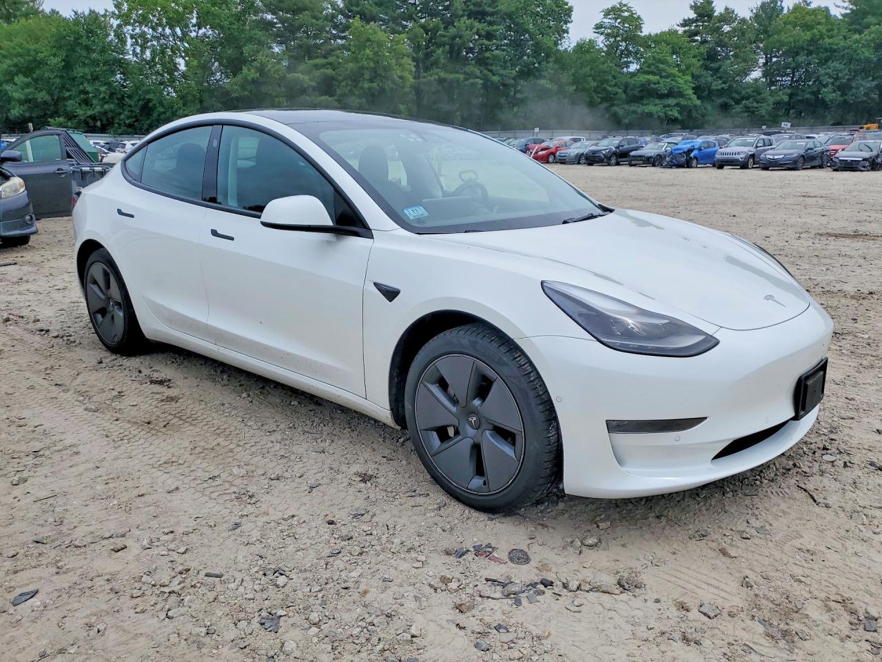 Tesla Model 3 2022
