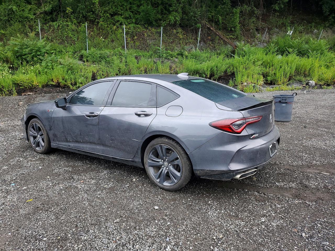  TLX
