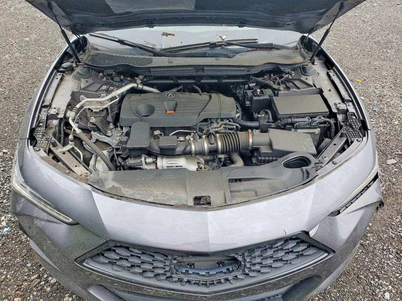  TLX
